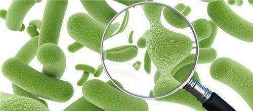 益生菌吃了沒效果？腸道(dào)：是你不會吃！